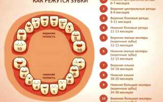 Прорезывание зубов у детей