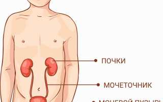 Заболевания мочеполовой системы у детей