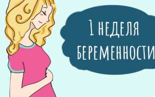 1 неделя беременности